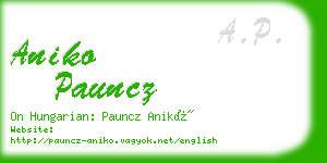 aniko pauncz business card
